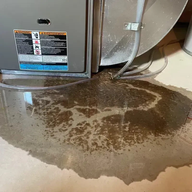 Appliance Leak Cleanup in Brandenburg, KY